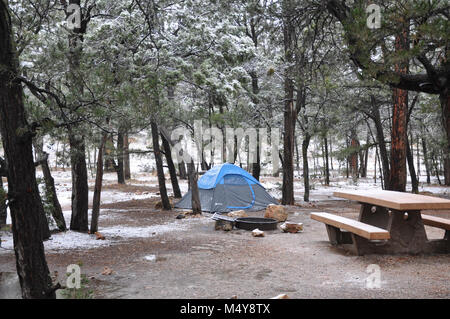 Une seule tente bleue parmi les arbres à Mather Campground. Fine couche de neige sur le sol et les arbres. Le camping dispose d'un feu et table. Pendant les mois d'hiver, le camping est fermé et les réservations en ligne ne sont pas disponibles. L'inscription est premier arrivé, premier servi en utilisant l'auto-payer machine située à l'office de camping à l'entrée du camping. Pendant les mois d'hiver, Hiker/biker campings ne sont pas disponibles et randonneur/motards doivent payer pour un site qui est de 15 $. Banque D'Images