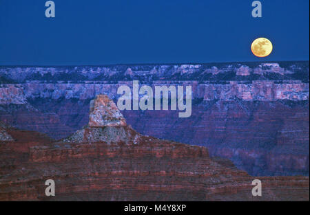 La plus grande pleine lune de l'année s'allume cette première nuit de 2018 - et nos résolutions de nouvelle année. Zoroastre Temple est le sommet sur la gauche. L'extrême du Grand Canyon et de brusques changements d'altitude, l'exposition, et le climat, une foule de plantes et d'animaux. Zones de vie vont de désert à la forêt boréale - tous dans la proximité inhabituelle. [Image description : une pleine lune jaune est juste au-dessus de l'horizon d'un canyon rim. Sur la gauche un pic d'orange et de blanc en pierre.] La vue est de Powell Memorial sur la rive sud du parc. Super pleine Lune croissante au sujet du Grand Canyon N Banque D'Images