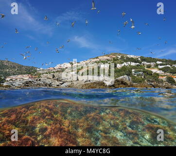 Mouettes survolant une Méditerranée rocky seashore d'algues sous l'eau, vue fractionnée au-dessus et au-dessous de la surface de l'eau, Espagne, Costa Brava, Catalogne, Roses Banque D'Images