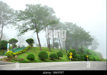 Le brouillard sur le monument de la montagne dans le côté de pays Thaïlande Banque D'Images