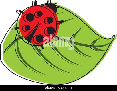 Mignon coccinelle dans faune animal naturel en feuilles Illustration de Vecteur