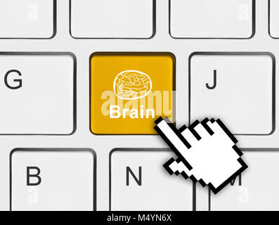 Clavier de l'ordinateur avec la clé du cerveau Banque D'Images