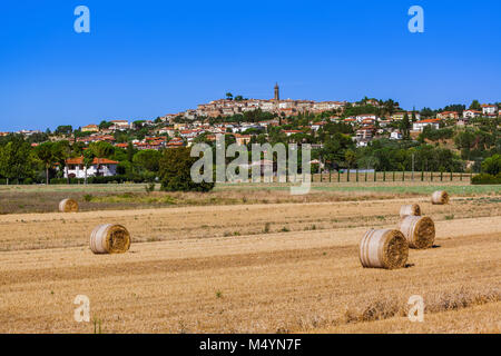 Bottes de foin dans un champ de la Toscane Italie Banque D'Images