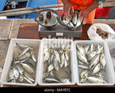 Les pêcheurs de vendre Sarpa salpa, communément appelées les dreamfish, Salema, salema porgy, daurade ou vache près de goldline la mer sur la promenade de Bari Banque D'Images
