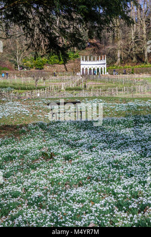 Vue de l'Exedra folly et banque avec épais tapis de perce-neige en Painswick Rococo Garden, Painswick, Cotswolds Gloucestershire en hiver Banque D'Images