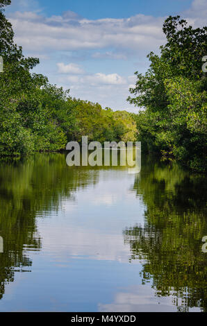 Ciel et arbres se reflétant sur le lagon à Parc national de Biscayne. Banque D'Images