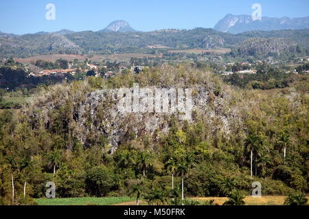 Vue panoramique sur la Vallée de Vinales. Cuba Banque D'Images