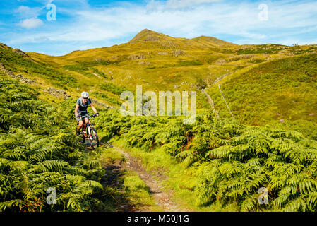 Vélo de montagne femelle sur le sentier au-dessus de la petite rivière dans le Lake District Banque D'Images