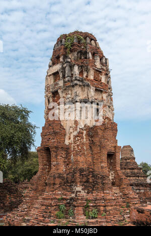 Wat Maha That, un monastère bouddhiste restauré et temple de la ville d'Ayutthaya Historical Park, en Thaïlande. Banque D'Images