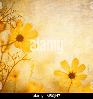 Grunge floral background avec espace pour texte ou l'image Banque D'Images