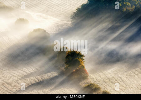 Rayons de soleil dans le brouillard sur un champ Banque D'Images