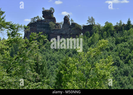 Forêt palatine en Rhénanie-palatinat/Allemagne ; grès rouge Banque D'Images