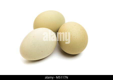 Trois œufs verts de l'Amérique du Sud race Araucana isolés de poulet Banque D'Images