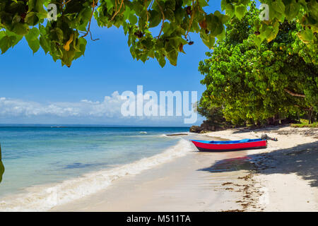 Voile sur une plage de sable blanc avec plantes vertes et en vue de la mer turquoise, la République Dominicaine Banque D'Images