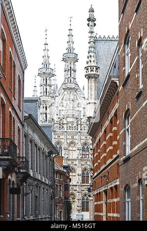 L'Hôtel de ville et église Saint Pierre à Louvain Banque D'Images