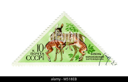 Urss - VERS 1973 : timbre-poste de la série "Faune - Réserves naturelles' avec une photo de cerf, imprimé en URSS, vers 1973 Banque D'Images