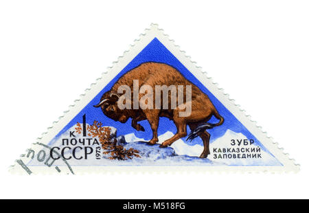 Urss - VERS 1973 : timbre-poste de la série "Faune - Réserves naturelles' avec une photo de bison, imprimé en URSS, vers 1973 Banque D'Images