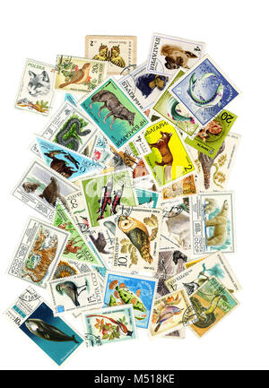 Un collage de timbres-poste sur le thème de la nature . Pour créer un collage d'utilisé des timbres de différents pays avec des photos d'animaux , oiseau Banque D'Images