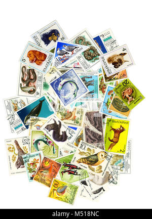 Un collage de timbres-poste sur le thème de la nature . Pour créer un collage d'utilisé des timbres de différents pays avec des photos d'animaux , oiseau Banque D'Images