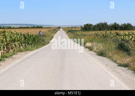 Routes rurales vide passant par domaine de l'agriculture du maïs Banque D'Images