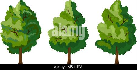 Ensemble de trois arbres d'été Illustration de Vecteur