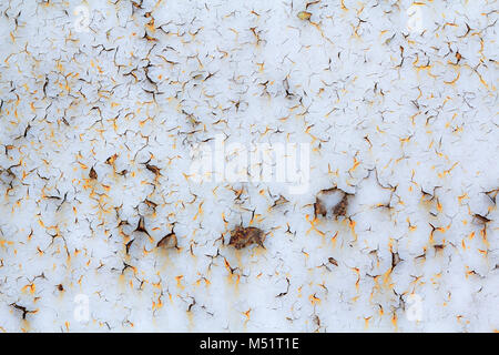 Ancienne peinture fissurée texture grunge background Banque D'Images