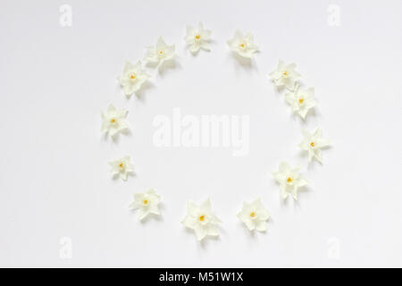 Stock photo style. Printemps Pâques, scène féminine composition florale. Cadre rond motif guirlande faite de NARCISSE, JONQUILLE fleurs. Arrière-plan blanc. Mise à plat, vue du dessus. Banque D'Images