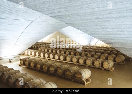 Des tonneaux de vin en bois alignés dans une cave à vin, Pampelune, Navarre, Espagne Banque D'Images