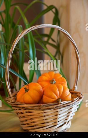 Les citrouilles dans panier Banque D'Images