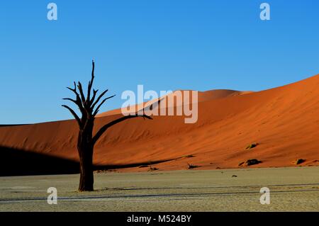 Sossuscvlei surréaliste désert paysage désert, Namibie Banque D'Images