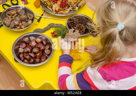 Petit enfant faire automne décoration de châtaignier, pommes de pin et glands Banque D'Images