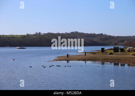 Bewl Water reservoir, East Sussex, Angleterre, Grande-Bretagne, Royaume-Uni, UK, Europe Banque D'Images