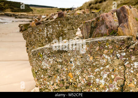 Ligne de ruiné de la Seconde Guerre mondiale en béton blocs antichar sur une plage de sable, Sandend, Moray, Ecosse, Royaume-Uni Banque D'Images