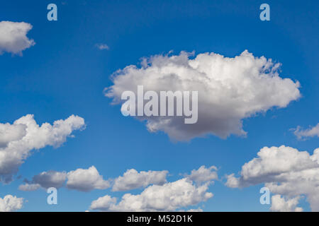 Phénomène atmosphérique, Lush, cumulus blanc contre le ciel bleu sur une claire journée d'été Banque D'Images