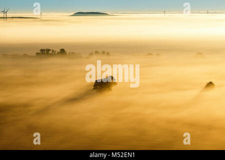 Arbre dans le brouillard sur les champs du lever du soleil Banque D'Images