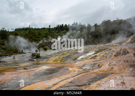 Cascade arc-en-ciel et terrasse de silice, Parc de l'énergie géothermique en Nouvelle-Zélande Banque D'Images