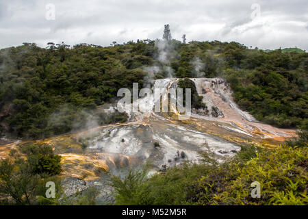 Arc-en-ciel géothermique et Cascade Terrasse, hot springs et l'augmentation de vapeur, Nouvelle-Zélande Banque D'Images