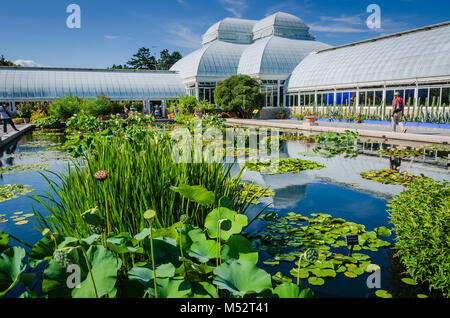 L'Enid A. Haupt Conservatory est une serre au Jardin Botanique de New York dans le Bronx, New York, le musée vivant, établissement d'enseignement, et p Banque D'Images