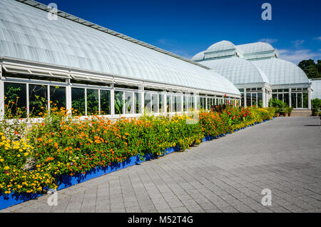 Jardin de Lantana annuel coloré orange et jaune bordé de fleurs plantes bleu fort à l'Enid A. Haupt Conservatory. La structure victorienne est un Banque D'Images