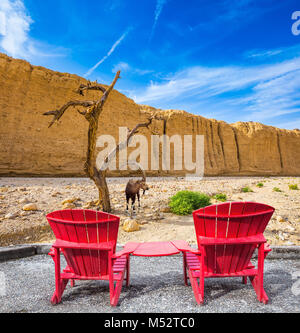 Deux chaises longues rouge Banque D'Images