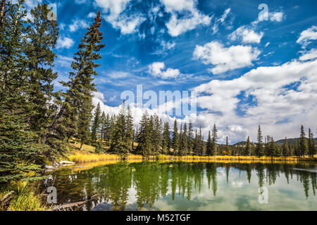 Petit lac entouré d'une forêt Banque D'Images