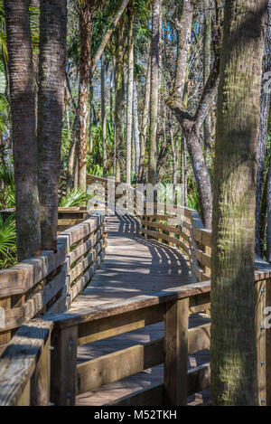 Grâce à la promenade le long du Sabal Palms Spring bleu inlet au large de la rivière Saint-Jean à Blue Spring State Park de Orange City, Floride. Banque D'Images