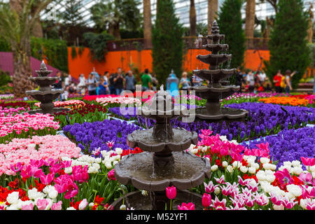 Dôme de fleurs dans les jardins de la baie à Singapour Banque D'Images