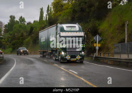 Chariot sur route mouillée sur jour de tempête Banque D'Images