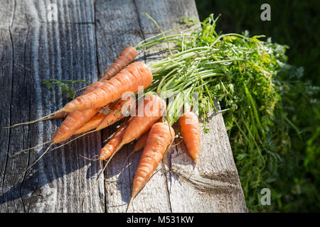 Botte de carottes depuis le lit repose sur des anciennes cartes Banque D'Images