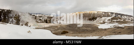 Panorama des terrasses à Mammoth Hot Springs, Parc National de Yellowstone, Wyoming. Banque D'Images