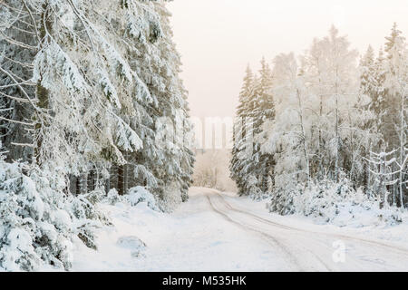 Route forestière dans une forêt d'hiver Banque D'Images