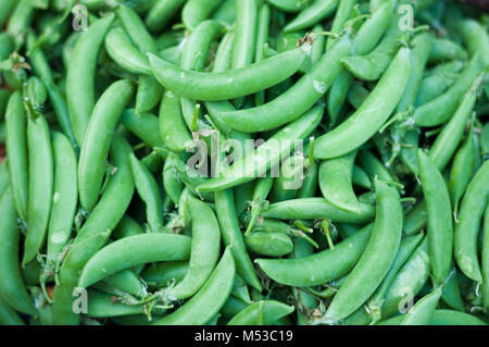 Close up le sucre brut vert frais pois Pisum sativum, contexte du marché Banque D'Images