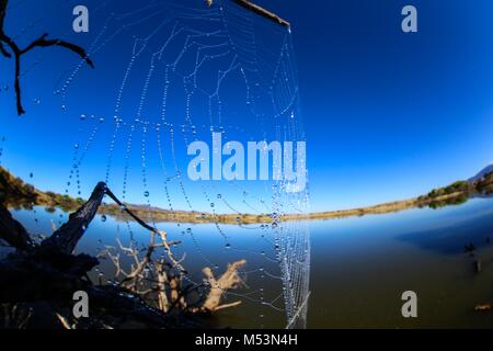 Cuenca del Rio San Pedro, Naturalia Banque D'Images