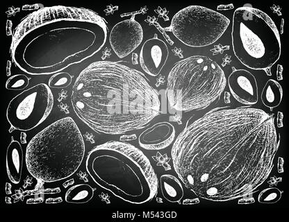 Les fruits tropicaux, Illustration Wallpaper de croquis à main ou Sapote Mamey Pouteria Sapota Fruits sur tableau arrière-plan. Illustration de Vecteur